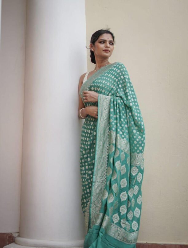 Banarasi Soft Georgette Silk Saree Collection - Image 6