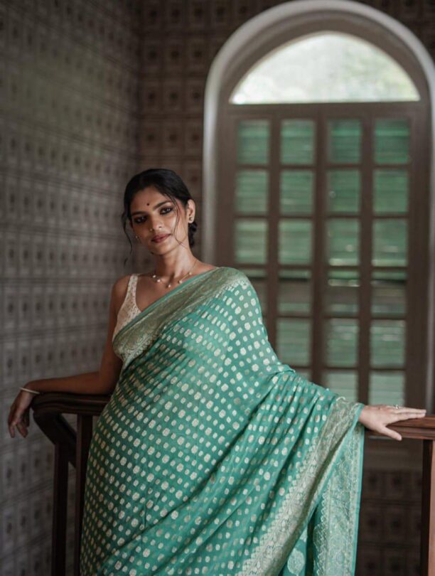 Banarasi Soft Georgette Silk Saree Collection - Image 5