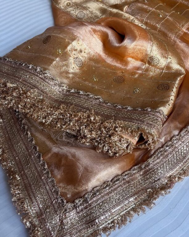 Banarasi Soft Maharani Glass Tissue Silk Saree - Image 8